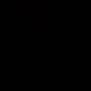 Meet your Posher, Devin